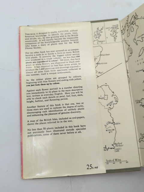 The Pocket Guide To Wild Flowers by David McClintock (Hardcover, 1956) Botany by David Mcclintock
