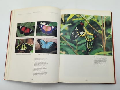Australia's Wilderness Heritage Collection 2 Volumes, Robert Coupe, Flora Fauna by Robert Coupe