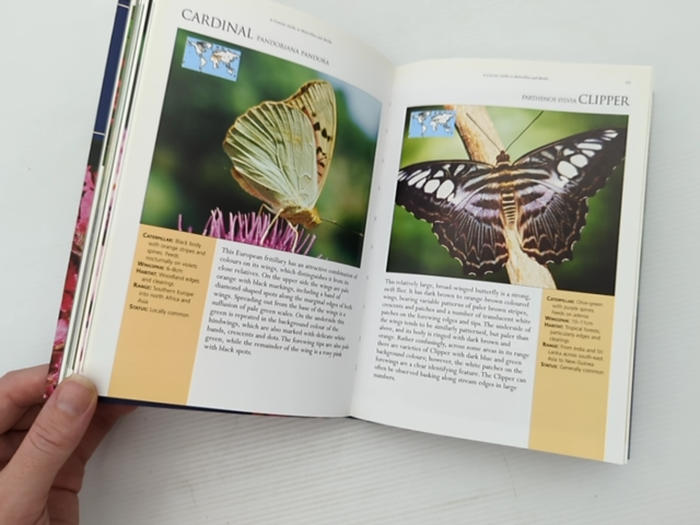 Concise Guide To Butterflies Moths by Elizabeth Balmer, Butterflies & Moths by Elizabeth Balmer