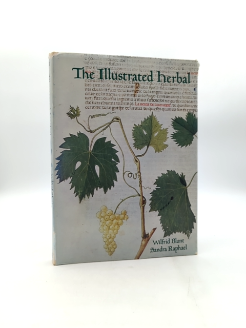 The Illustrated Herbal by Sandra Raphael & Wilfrid Blunt, Withchcraft Mandrake by "Sandra Raphael Wilfrid Blunt"