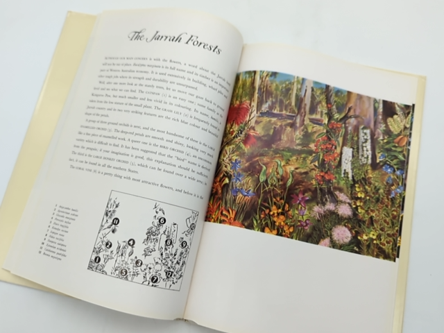 The Shell Guide To Australian Wildflowers by Malcolm Mcgregor Dennis Adams by Malcolm Mcgregor Dennis Adams