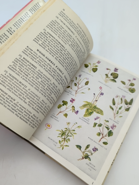 The Pocket Guide To Wild Flowers by David McClintock (Hardcover, 1956) Botany by David Mcclintock
