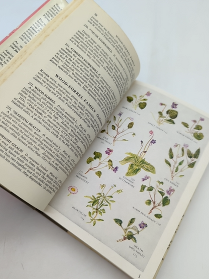 The Pocket Guide To Wild Flowers by David McClintock (Hardcover, 1956) Botany by David Mcclintock