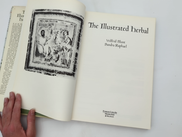 The Illustrated Herbal by Sandra Raphael & Wilfrid Blunt, Withchcraft Mandrake by "Sandra Raphael Wilfrid Blunt"
