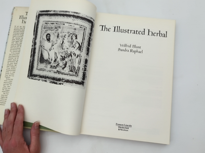 The Illustrated Herbal by Sandra Raphael & Wilfrid Blunt, Withchcraft Mandrake by "Sandra Raphael Wilfrid Blunt"