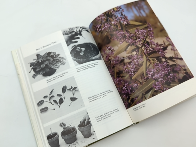 How To Propagate Plants by Jack Plumridge (Hardcover, 1976) Botany by Jack Plumridge