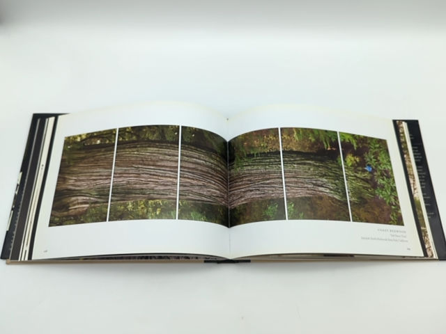 Tree: A New Vision of the American Forest by Jim Balog (Hardcover, 2005) 1st Ed by Jim Balog