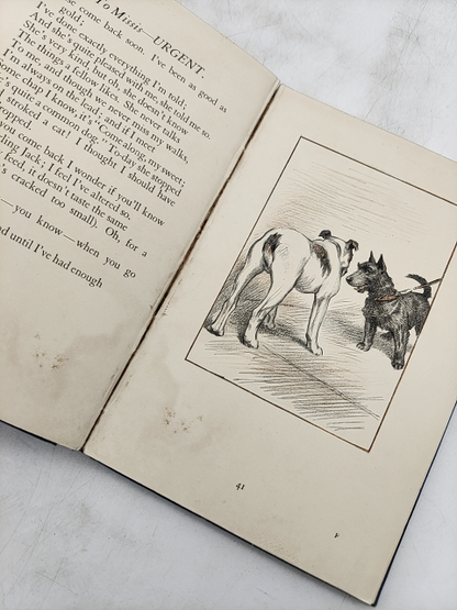 My Dog and Yours by Joe Walker (Cloth, 1929) 1st Edition by Joe Walker