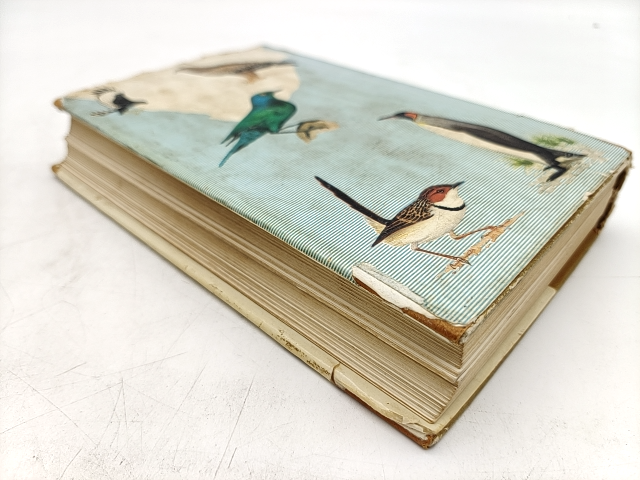 Newman's Birds Of Southern Africa by Kenneth Newman, SIGNED, Birdwatching by "Ian Sinclair Kenneth Newman"
