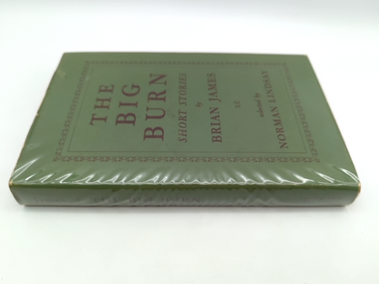 The Big Burn: Short Stories by Brian James (Hardcover, 1965) 1st Edition Vintage by Brian James