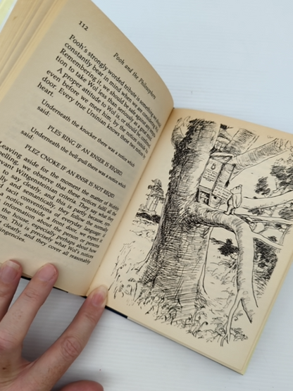 Pooh And The Philosophers by John Tyerman Williams, Children's Books by John Tyerman Williams