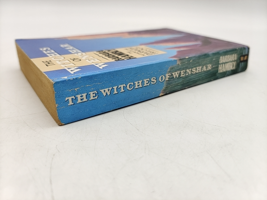 The Witches Of Wenshar by Barbara Hambly (Paperback, 1987) Fantasy by Barbara Hambly