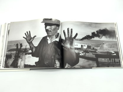 DZ Bank Art Collection, Germany, Photography Catalogue book by Enno Kaufhold by Luminita Sabau