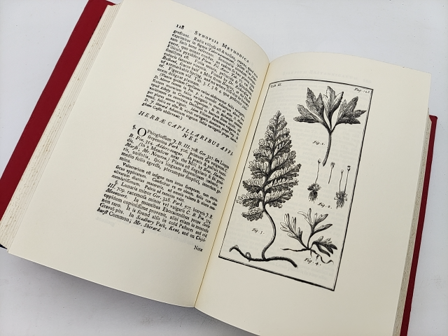 Synopsis Methodica Stirpium Britannicarum (ray Society) by John Ray by John Ray
