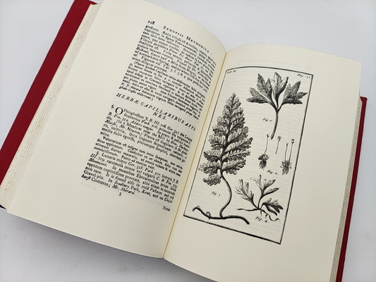 Synopsis Methodica Stirpium Britannicarum (ray Society) by John Ray by John Ray