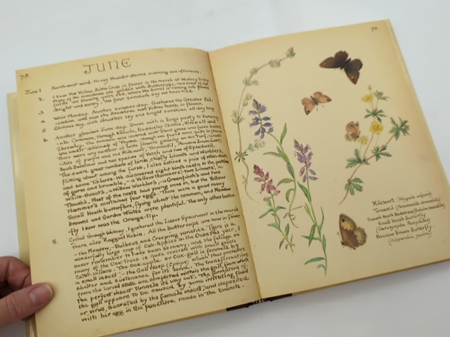 The Country Diary Of An Edwardian Lady Facsimile Reproduction Of Naturalist's Di by Edith Holden