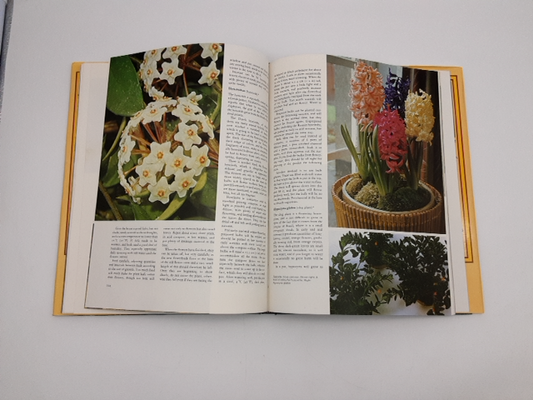 Woman's Day All Colour Guide To Houseplants by Shirley Stackhouse, House Plants by Shirley Stackhouse