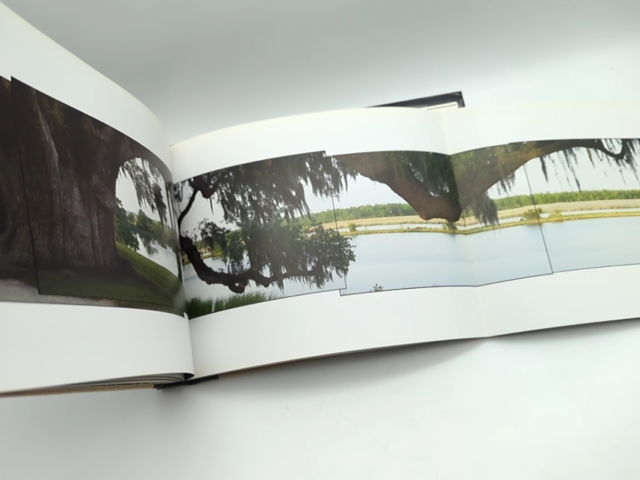 Tree: A New Vision of the American Forest by Jim Balog (Hardcover, 2005) 1st Ed by Jim Balog