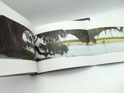 Tree: A New Vision of the American Forest by Jim Balog (Hardcover, 2005) 1st Ed by Jim Balog