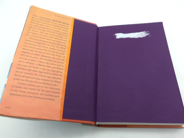 Rick Riordan Presents: Race To The Sun by Rebecca Roanhorse by Rebecca Roanhorse