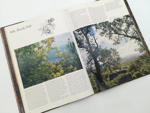 The Love Of Trees by Kenneth A Beckett (Hardcover, 1975) 1st Edition Botany by Kenneth A Beckett