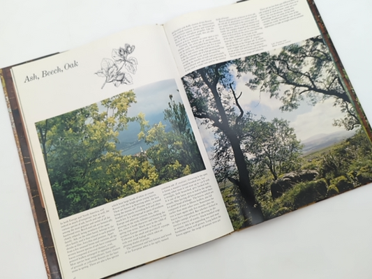 The Love Of Trees by Kenneth A Beckett (Hardcover, 1975) 1st Edition Botany by Kenneth A Beckett