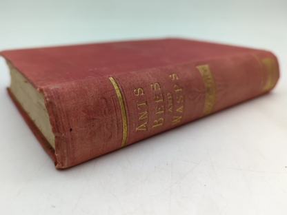 Ants, Bees And Wasps by Sir John Lubbock (Cloth, 1915) Natural History by Sir John Lubbock