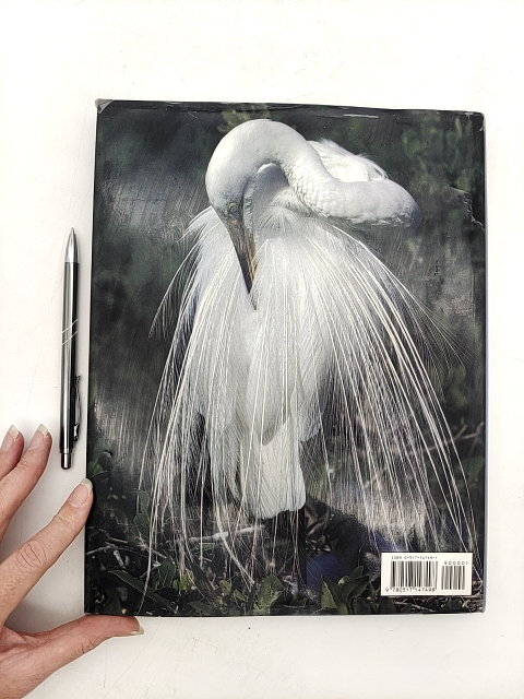 Lords Of The Air The Smithsonian Book Of Birds by Eugene S. Morton & Jake Page by Smithsonian Institution Staff