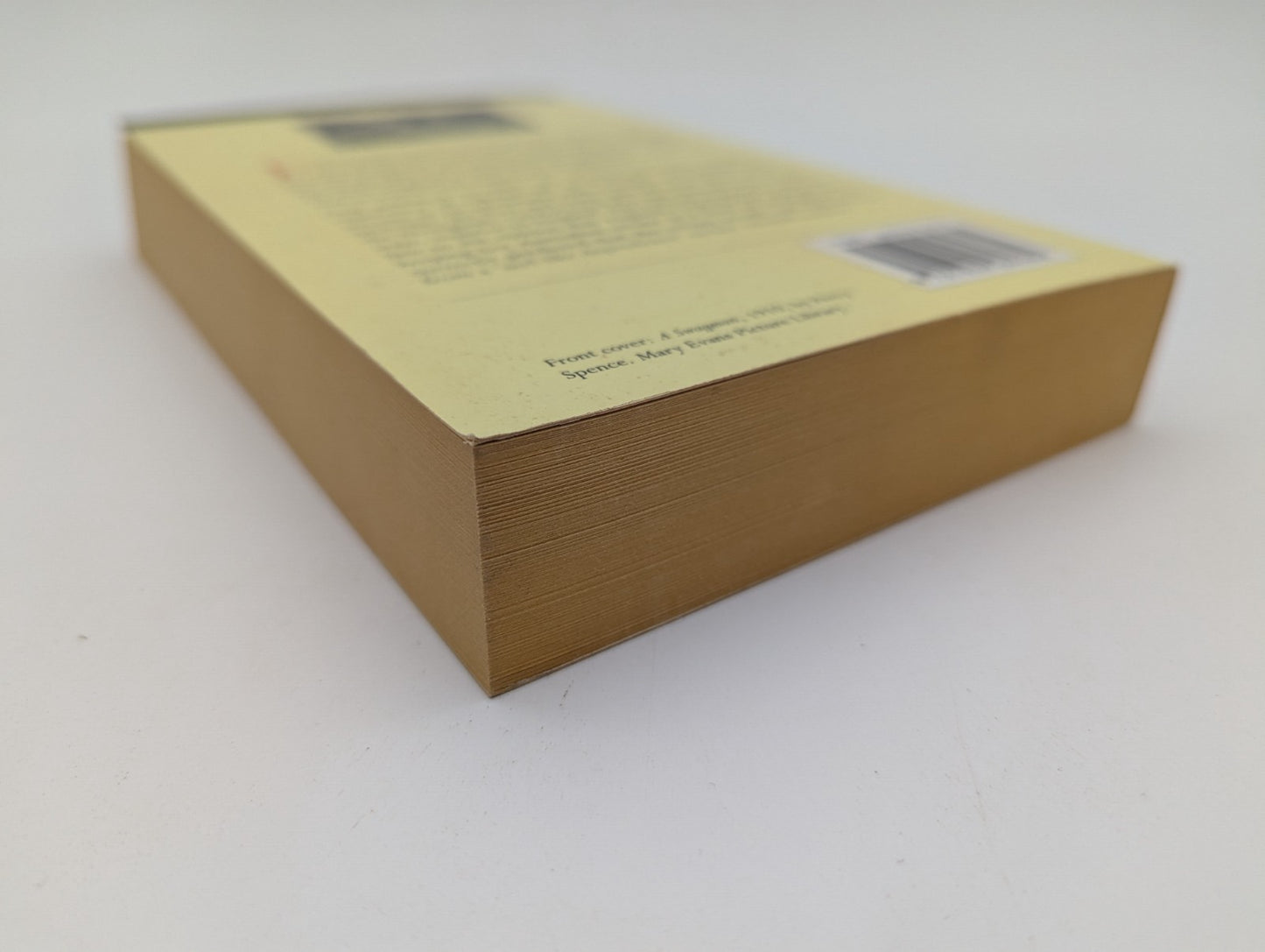 The bushman: life in a new country by Edward Wilson Landor (Fascimile, 1998) by Edward Wilson Landor