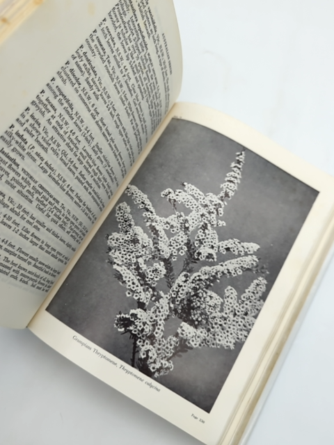 Shrubs And Trees For Australian Gardens by Ernest E. Lord, Gardening by Ernest E. Lord