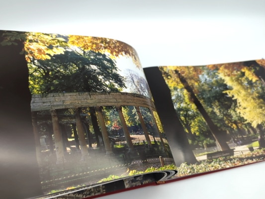 Paris by Herve Champollion (Hardcover) 1st Ed, Coffee Table Photography Book by Herve Champollion