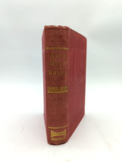 Ants, Bees And Wasps by Sir John Lubbock (Cloth, 1915) Natural History by Sir John Lubbock