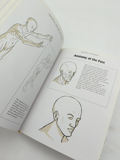 The Anatomy Figure Drawing Artist's Handbook by Viv Foster, Anatomy by Viv Foster