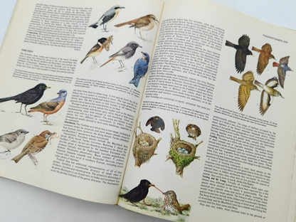 Bird Families Of The World by Dr CJO Harrison (Hardcover, 1978) Birds by Dr Cjo Harrison