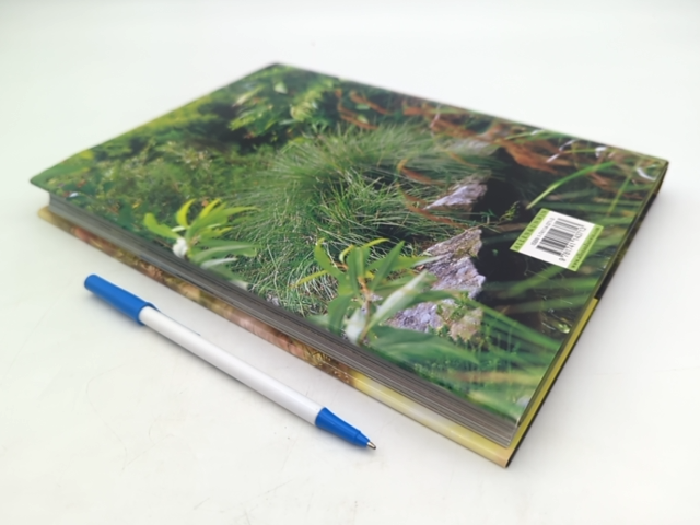 Indigenous: The Making Of My Native Garden by Don Burke, Gardening by Don Burke
