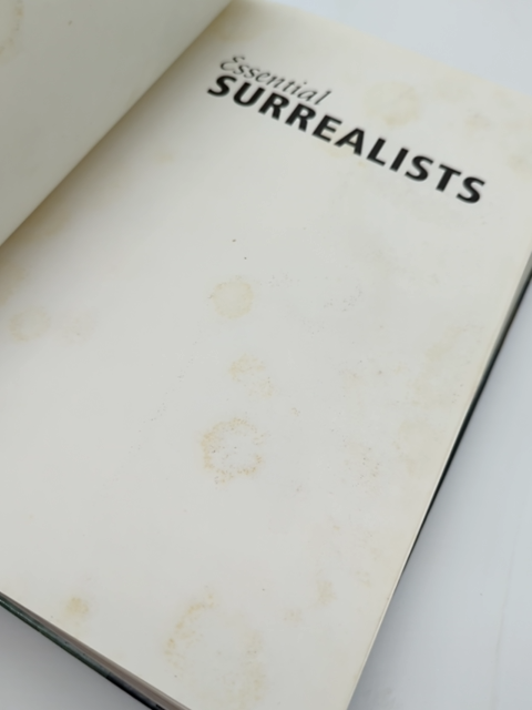 Essential Surrealists by Tim Martin (Hardcover, 1999) 1st Edition  Art History by Tim Martin