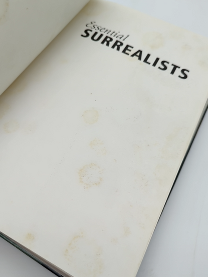 Essential Surrealists by Tim Martin (Hardcover, 1999) 1st Edition  Art History by Tim Martin
