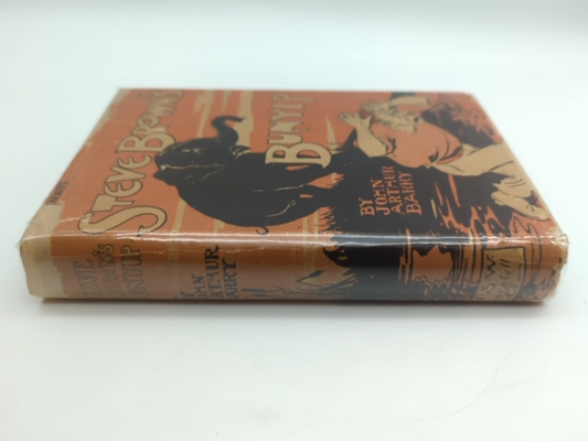 Steve Brown's Bunyip by John Arthur Barry (Hardcover, 1905) Early Aussie Fiction by John Arthur Barry