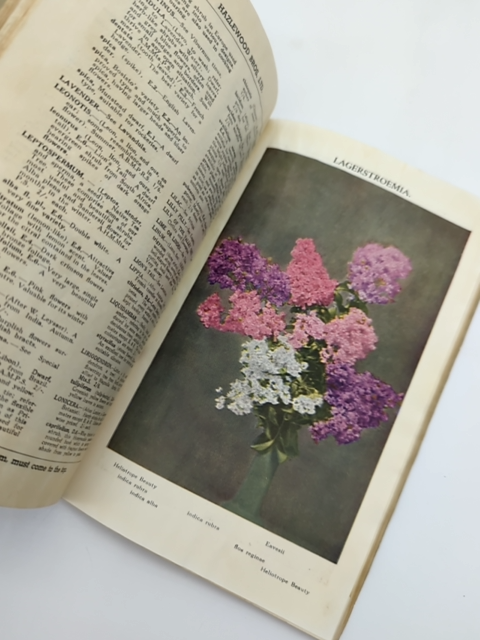 Favourite Roses And Other Plants by Hazelwood Bros (1937) by Hazelwood Bros