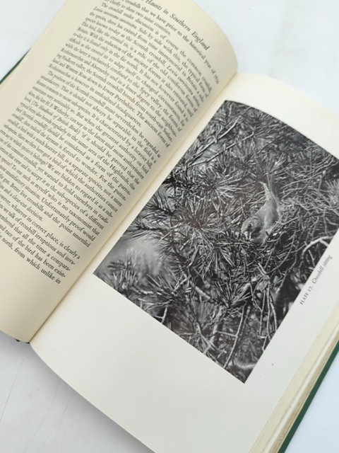 Bird Haunts in Southern England by G K Yeates (Cloth, 2023) Natural History by G K Yeates