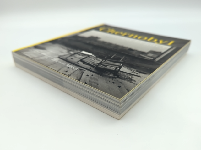 Chernobyl: The Hidden Legacy by Naomi Rosenblum, Pierpaolo Mittica, Photography by Not Available