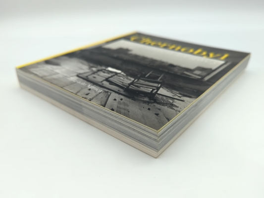 Chernobyl: The Hidden Legacy by Naomi Rosenblum, Pierpaolo Mittica, Photography by Not Available