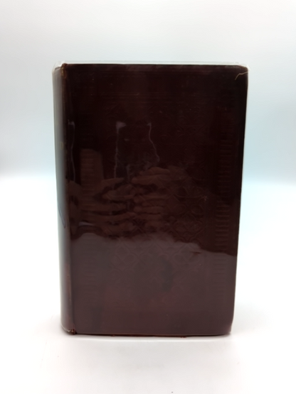 Australia, Tasmania, And New Zealand By an Englishman by D Puseley by D Puseley