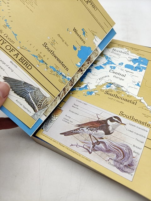 Guide To The Birds Of Alaska by Robert H. Armstrong, Birdwatching by Robert H. Armstrong