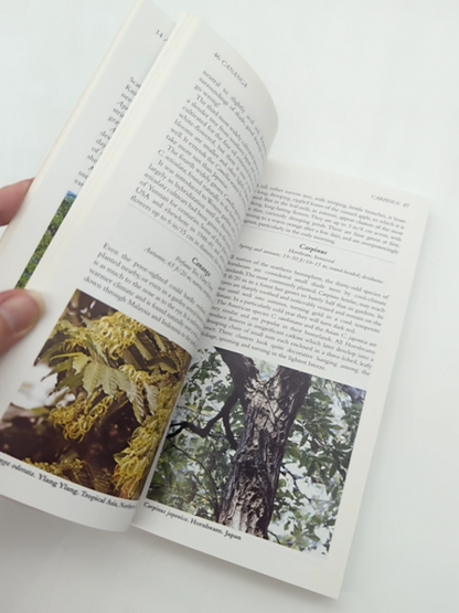 Gardener's Companion To What Tree Is That? by Stirling Macoboy, Botany by Stirling Macaboy