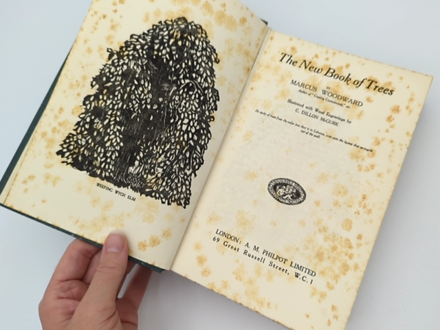 The New Book Of Trees by Marcus Woodward (Hardcover, 1929) by Marcus Woodward