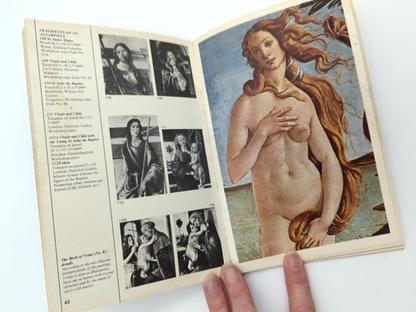Botticelli (Every Painting) by Rita de Angelis (Paperback, 1980) Art History by Rita De Angelis