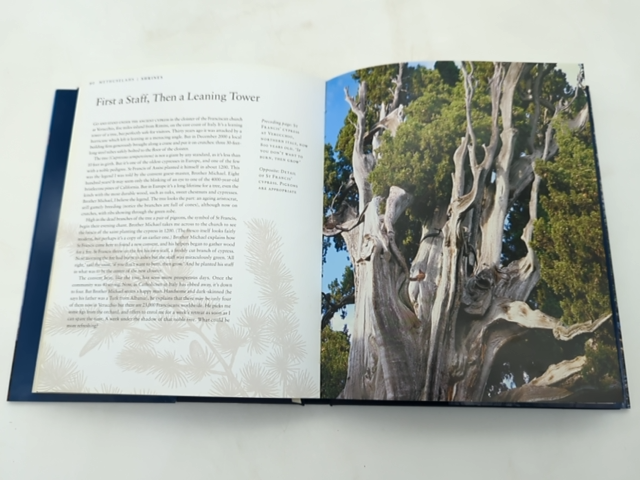 Remarkable Trees Of The World by Thomas Pakenham (Hardcover, 2003) Botany by Thomas Pakenham