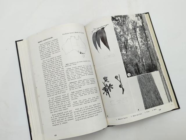 Forest Trees Of Australia by Forestry and Timber Bureau, unknown by Forestry And Timber Bureau
