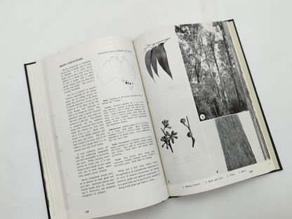 Forest Trees Of Australia by Forestry and Timber Bureau, unknown by Forestry And Timber Bureau